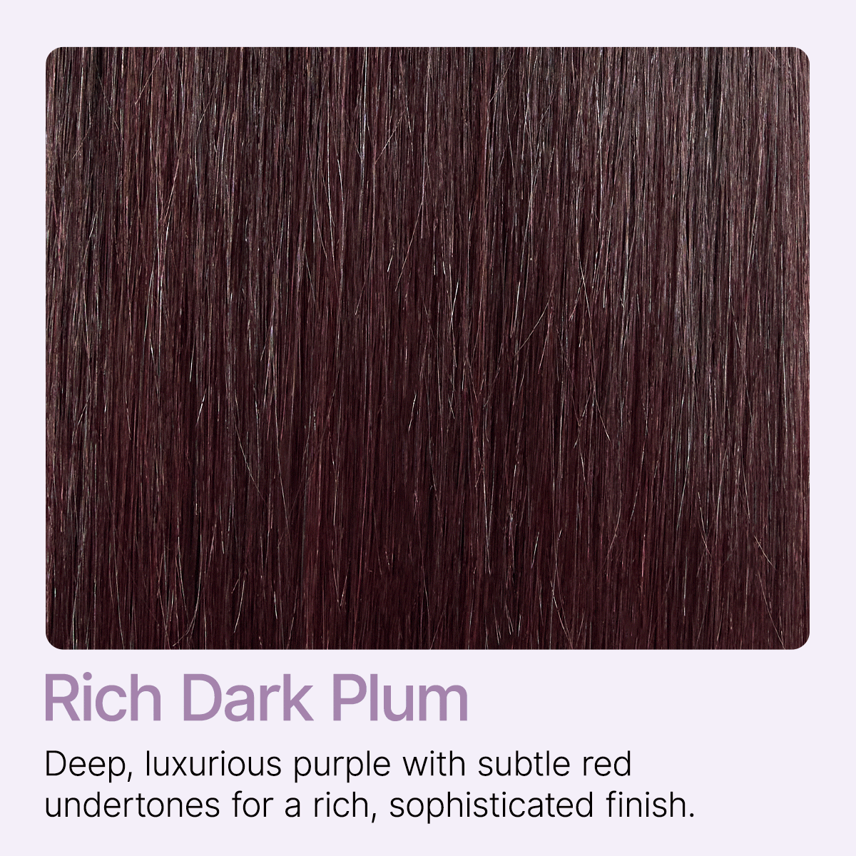 180% Density Rich Dark Plum Bone Straight with Baby Hair PartingMax Glueless 7x6 Closure HD Lace Wig Pre-Cut Lace